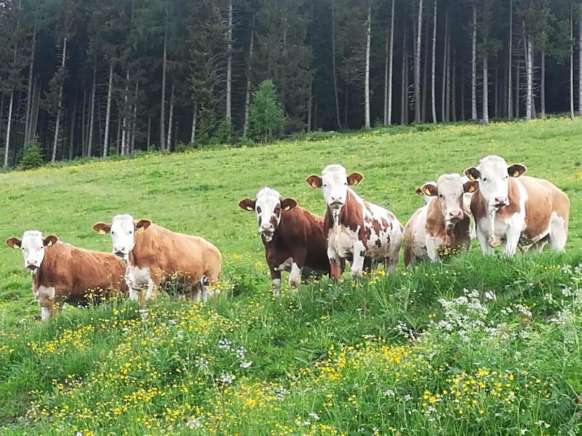 Premiumalmhuette Wiedhupf Peterdorf Eksteriør bilde
